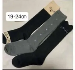 Item thumbnail for item 5ec497b3-5120-47f4-95bb-2aa1084c01e0