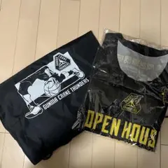 Item thumbnail for item 3e70c2c4-7929-4f55-bf58-4119de20a8dc