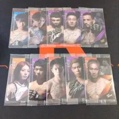 RIZIN ウエハース カード 10種類 17枚
