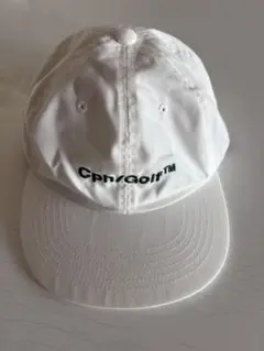 Item thumbnail for item 6240e8ad-dad3-4a74-a404-44250daf7399