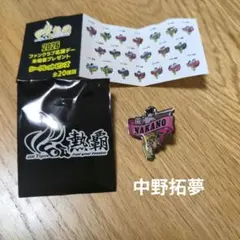 阪神タイガース 2026年 ピンズ コンプリートセット 2026年最新】阪神タイガースピンバッジの人気アイテム - メルカリ
