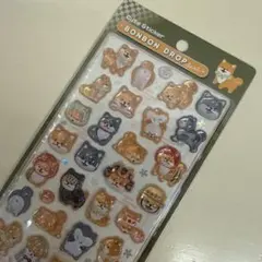 クーリア 和柄 ボンボンドロップシール 柴犬 ボンドロ 柴 いぬ 正規品 1点