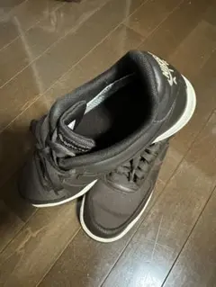 Item thumbnail for item af2f43a8-3b9d-4840-8bca-46ab29040a10