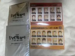 劇場版ハイキュー!! ゴミ捨て場の決戦選手名鑑風ブロマイド