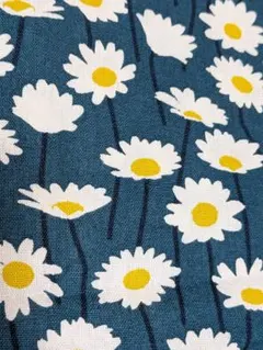 ●綿キャンパス★マーガレット&ブルーグリーン