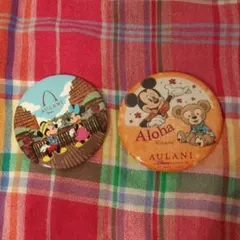 お値下げ！　アウラニ　アウラニディズニー　非売品缶バッジ　缶バッジセット