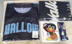 Item thumbnail for item 0e46bc81-6d93-430b-b4cb-8e05918742a6