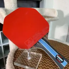 卓球　ラケット　六角形　粒高　イボ　ラバー　サイバー　シェーク　FL