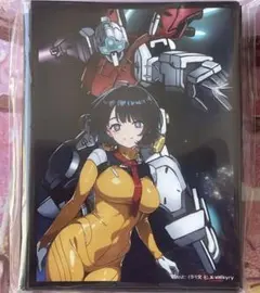 ガンダム　シイコ　スガイ　スリーブ