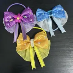 ディズニーランド　プリンセス　ヘアアクセサリーセット