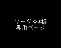 ソーダ✧*様　専用ページ