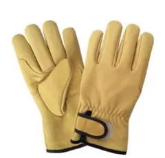 Item thumbnail for item f1b54abe-b102-4158-a31a-4d810cfc40e0