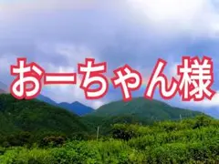 2026年最新】甲州百目柿の人気アイテム - メルカリ