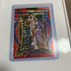 Item thumbnail for item dee98df7-2996-483f-8b21-8214c55f268c