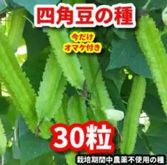 まとめ買いOK様 リクエスト 9点 まとめ商品