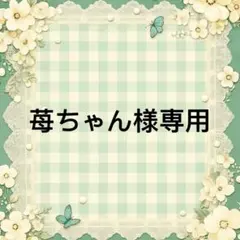 苺ちゃん 様　專用