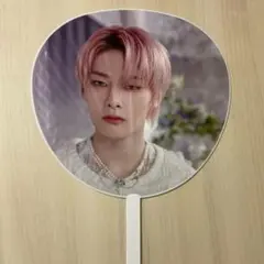 straykids 5-star ドームツアー うちわ スンミン 2023 - メルカリ
