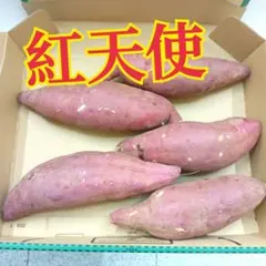茨城県産　さつまいも　紅天使のサムネイル