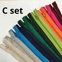 【セール中】ファスナーC set/50本