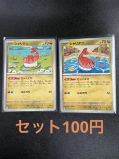 정리 구매 환영 샤리타츠 세트