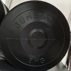 5kg ダンベル 2個セット ラバーコーティング 固定式 トレーニング 筋トレのサムネイル