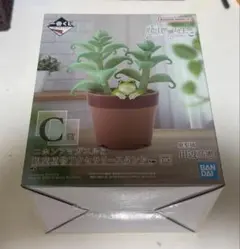 一番くじ 爬虫類&両生類 vol.3 C賞 ニホンアマガエル