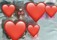 おとぼけくまさん1.2 推しカラーマスコット