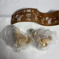 ふんばり〜ぬ2 ゴールデンレトリバー2種類