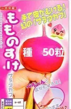 ぱんみーまま様 リクエスト 3点 まとめ商品