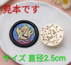 通りすがりのぷろていん様 リクエスト 2点 まとめ商品