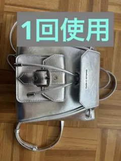 ライラック】CHARLES & KEITHクロスボディバッグ 保存袋付 - メルカリ