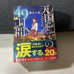 天国までの49日間