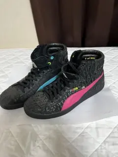 Item thumbnail for item b1e03aa0-7490-4b84-9ad0-095aa4ce1d3e