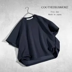 2026年最新】コグザビッグスモーク ペンタゴンの人気アイテム - メルカリ