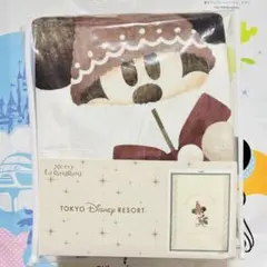 ディズニー⭐️クリスマス2025 毛布 リルリンリン