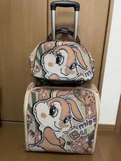 Item thumbnail for item b1307526-f947-462f-aa76-e73eb5564dea