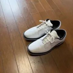 JORDAN ADG 5 WHITEのサムネイル