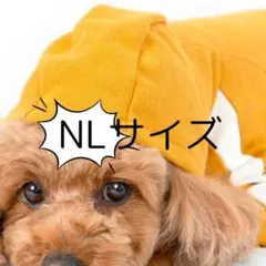【NL-11】フルオブビガー【新品】 小型犬 NL お得な5枚 セット