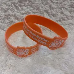 舞台ヒプノシスマイク BoP2023 ラバーバンド アサクサ 2個セット