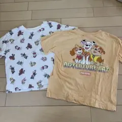 Paw Patrol Tシャツ 110 2枚セット　パウパト