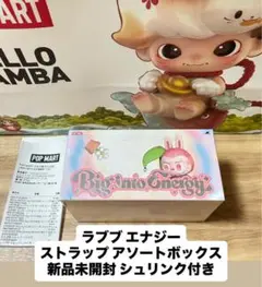Big into Energy ラブブ　未開封BOX 楽天市場】LABUBU ラブブ THE MONSTERS Big into Energy
