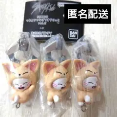 SKZOO　つまんでつなげてますこっと　vol.2　ジニレット　3個　ガチャ