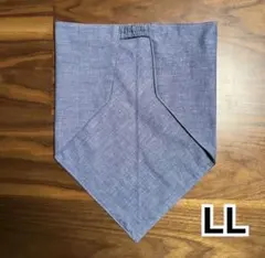 Item thumbnail for item 987d7ff0-fc44-4409-aaad-76d155500259