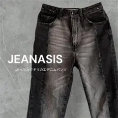 JEANASIS ジーナシス デニムパンツ ハイウエスト 人気 ダメージジーンズ