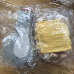 Item thumbnail for item f16fc01e-2fab-4acf-ab0b-357fe5391e66