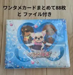 Item thumbnail for item 251f96ba-5616-408c-b62f-c3c84f405823