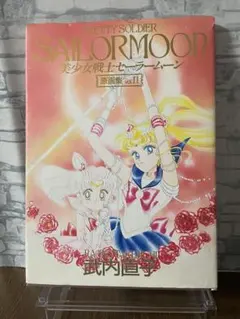 希少】美少女戦士セーラームーン原画集 Vol.2 本 武内直子 レア お宝①