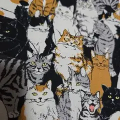 50×25　猫だらけ　オックス　生地　はぎれ　コスモテキスタイル