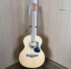 2026年最新】james ギターの人気アイテム - メルカリ