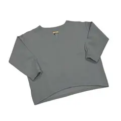 タグ付き新品‼️GALLAARDAGALANTE ボンディング素材 トップスのサムネイル